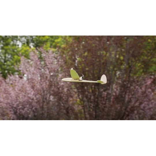 F0604-Sparrow Glider 620mm Balsa Kit DW Hobby