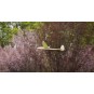 F0604-Sparrow Glider 620mm Balsa Kit DW Hobby