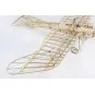 Etrich Taube Dove 1/31 découpe laser bois, modèle statique DW Hobby DW Hobby - Dancing Wings Hobby VX15 - 11 VX15-Etrich Taube Dove 1/31 découpe laser bois, modèle statique DW Hobby - VX15