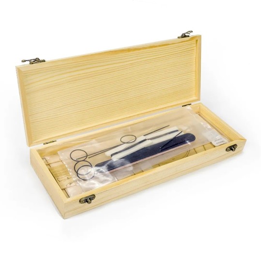 VX15-Etrich Taube Dove 1/31 découpe laser bois, modèle statique DW Hobby