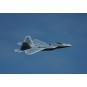 XF117P-Jet EDF F-22 Raptor Bi-Turbine 40mm env. 702mm PNP XFly