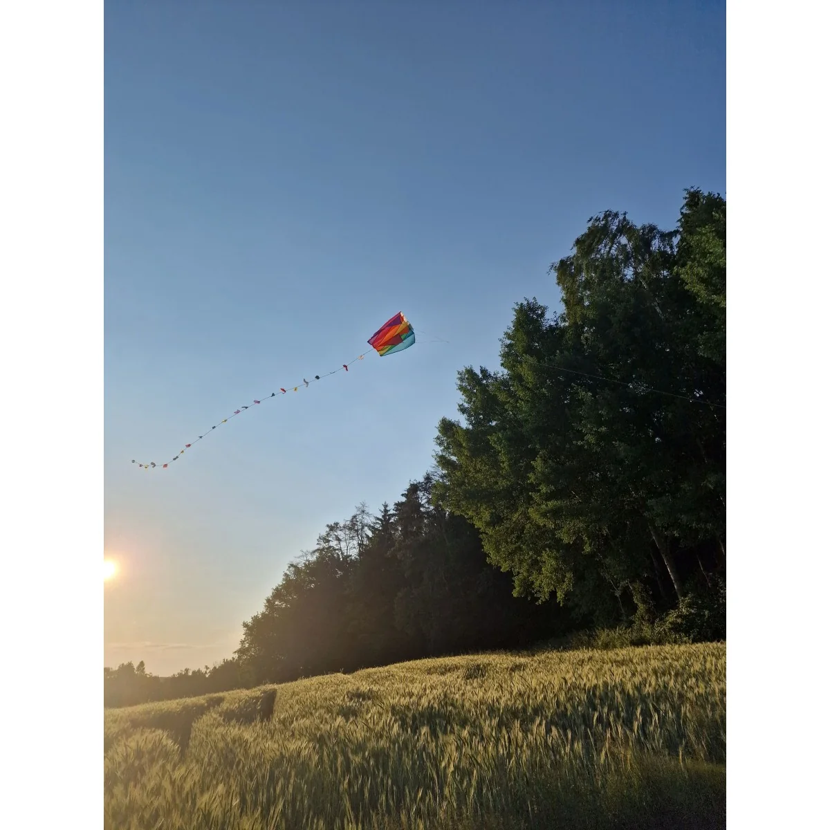 Mini Parafoil Kite - Gunther Gunther GUN-1173 - 3 Mini Parafoil Kite - Gunther Gunther GUN-1173 - 3