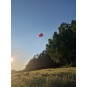 GUN-1173-Mini Parafoil Kite - Gunther