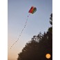 GUN-1173-Mini Parafoil Kite - Gunther