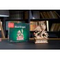 UG-70259-Wood Dragon Puzzle 3D Wood UGEARS