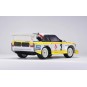 88368-M48S Audi sport Quatro S1 1985 Brushless 1/8 RTR Carisma