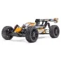 Rogue Buggy Brushless Yellow 1/10 RTR + Lipo/Charger Combo HobbyTech Hobbytech 1.ROGB.V2-XX-PACK - 17 1.ROGB.V2-XX-PACK-Combo Rogue Buggy 2.0 Brushless 1/10 RTR + Lipo/Charger HobbyTech - 1.ROGB.V2-XX-PACK