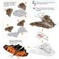 Eastern Comma Metal Earth Butterfly Metal Earth MMS127 - 2 MMS127-Eastern Comma Metal Earth Butterfly - MMS127