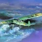 FI-156 Storch 1/72 Academy Aircraft Academy AC12459 - 4 AC12459-FI-156 Storch 1/72 Academy Aircraft - AC12459