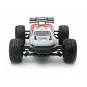 FTX5577R-Tracer Truggy 4WD red 1/16 RTR FTX - FTX5577R