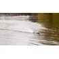 500108061-Bateau RC Carson Waveracer Brushless RTR - 500108061