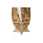 Kit bateau en bois Amati Nina 1/65 - 1411 - 1411 1411-Kit bateau en bois Amati Nina 1/65 - 1411