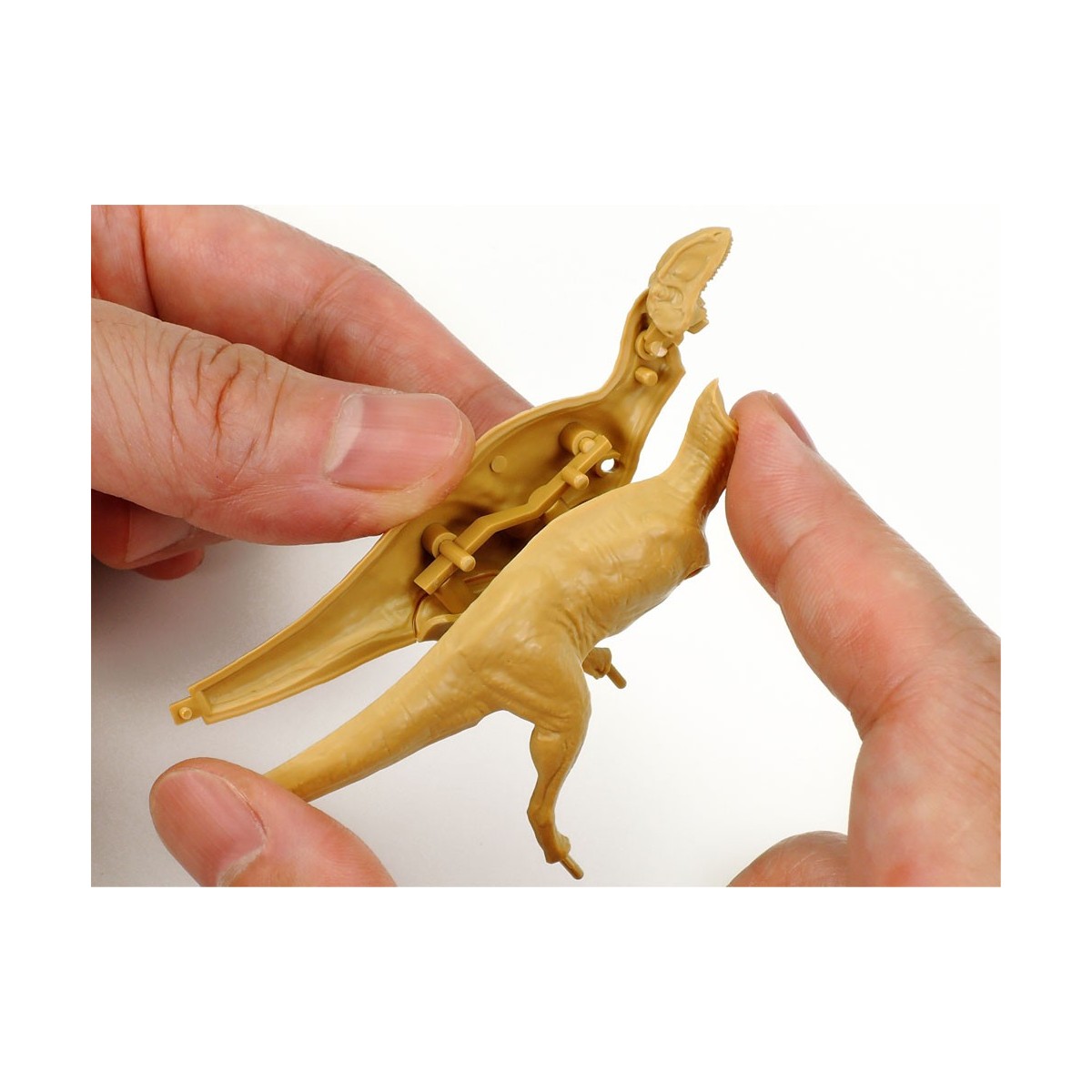Fukuiraptor dinosaur model 1/35 Clic Loc - Tamiya 28501 - 28501 Fukuiraptor dinosaur model 1/35 Clic Loc - Tamiya 28501 - 28501