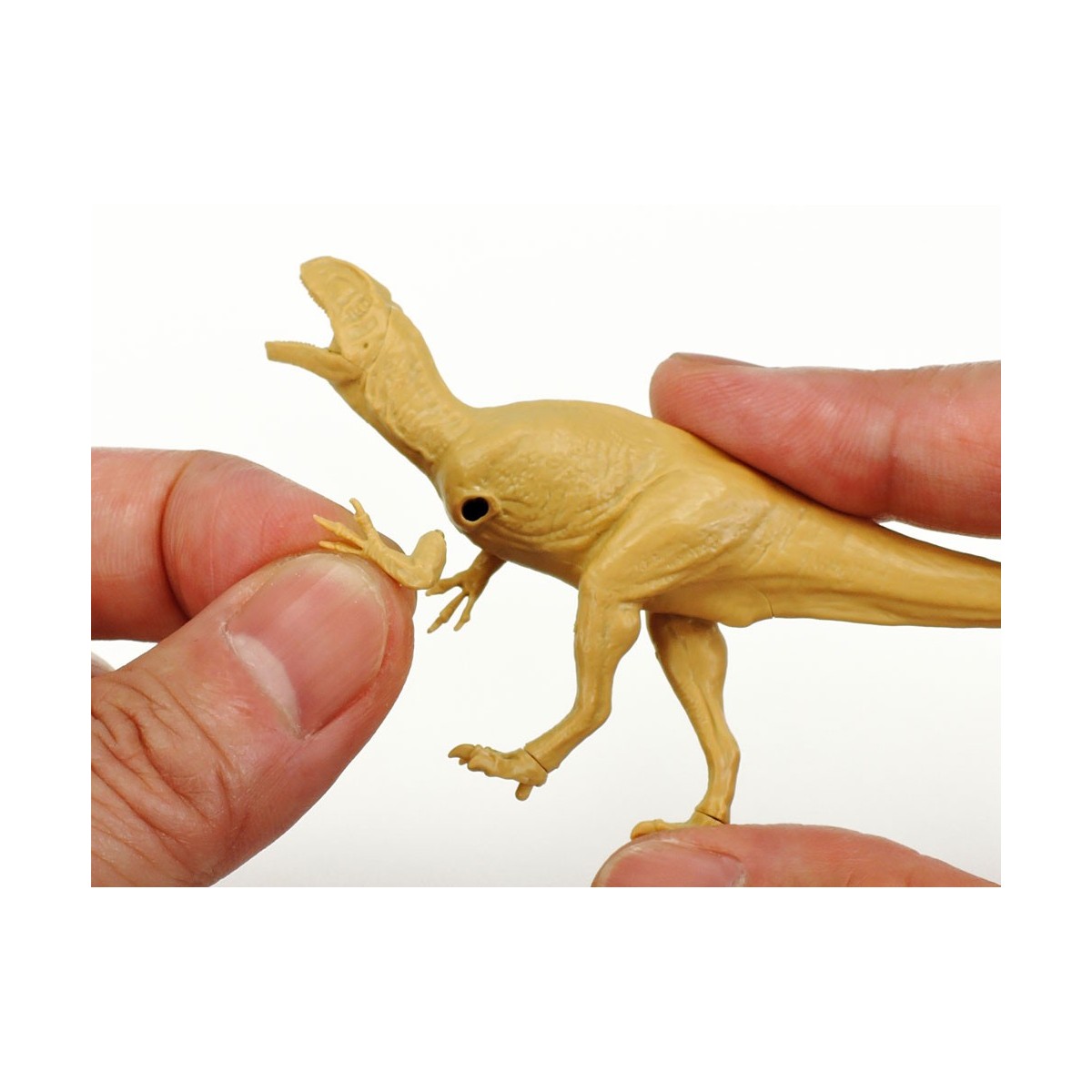 Maquette dinosaure Fukuiraptor 1/35 Clic Loc - Tamiya 28501 - 28501 Maquette dinosaure Fukuiraptor 1/35 Clic Loc - Tamiya 28501 - 28501