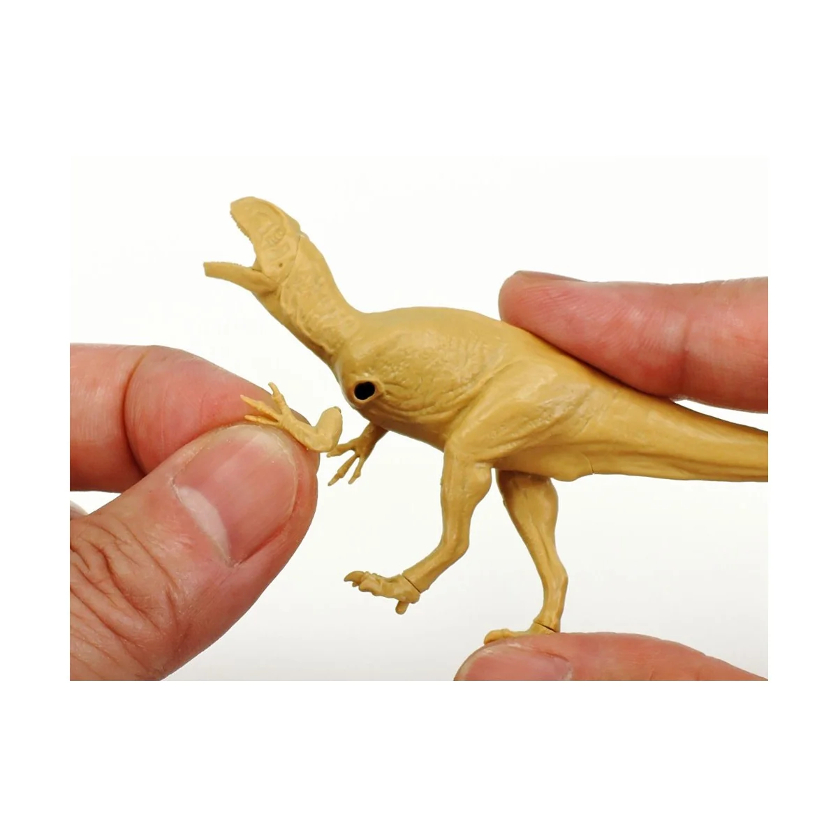 Maquette dinosaure Fukuiraptor 1/35 Clic Loc - Tamiya 28501 - 28501