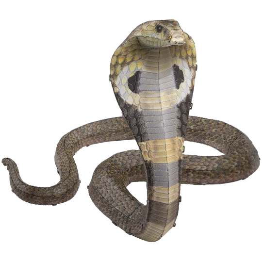 Maquette métal 3D Cobra Metal Earth ME1032 - ME1032 ME1032-Maquette métal 3D Cobra Metal Earth ME1032