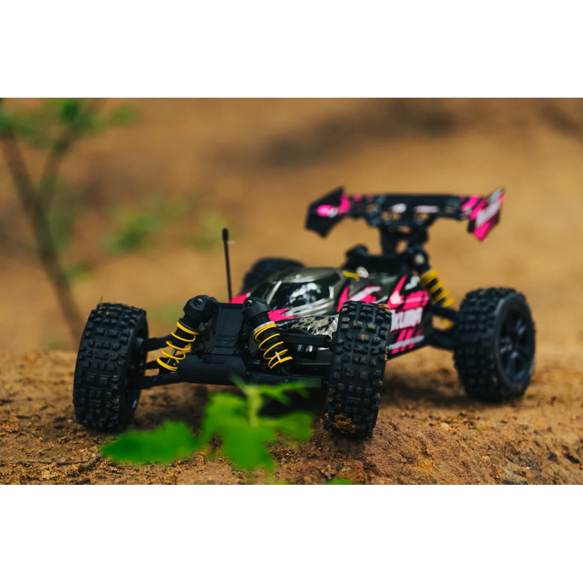 Buggy RC Carson Akuma 4WD 1/8 Brushless RTR rose + accus et chargeu...