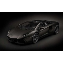 Lamborghini Aventador LP 700-4 Roadster Nero Nemesis Matte Black 1/8 - Poach Pocher HK121F - 1