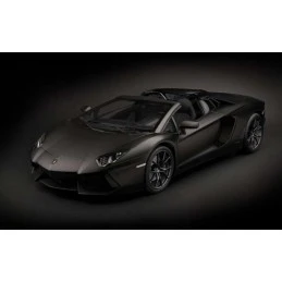 Lamborghini Aventador LP 700-4 Roadster Nero Nemesis Noir Mat 1/8 - Pocher Pocher HK121F - 1