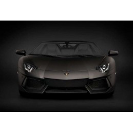 Lamborghini Aventador LP 700-4 Roadster Nero Nemesis Matte Black 1/8 - Poach Pocher HK121F - 2