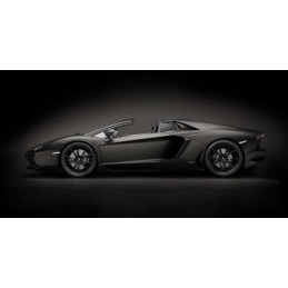 Lamborghini Aventador LP 700-4 Roadster Nero Nemesis Matte Black 1/8 - Poach Pocher HK121F - 3