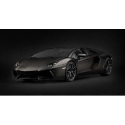 Lamborghini Aventador LP 700-4 Roadster Nero Nemesis Matte Black 1/8 - Poach Pocher HK121F - 5